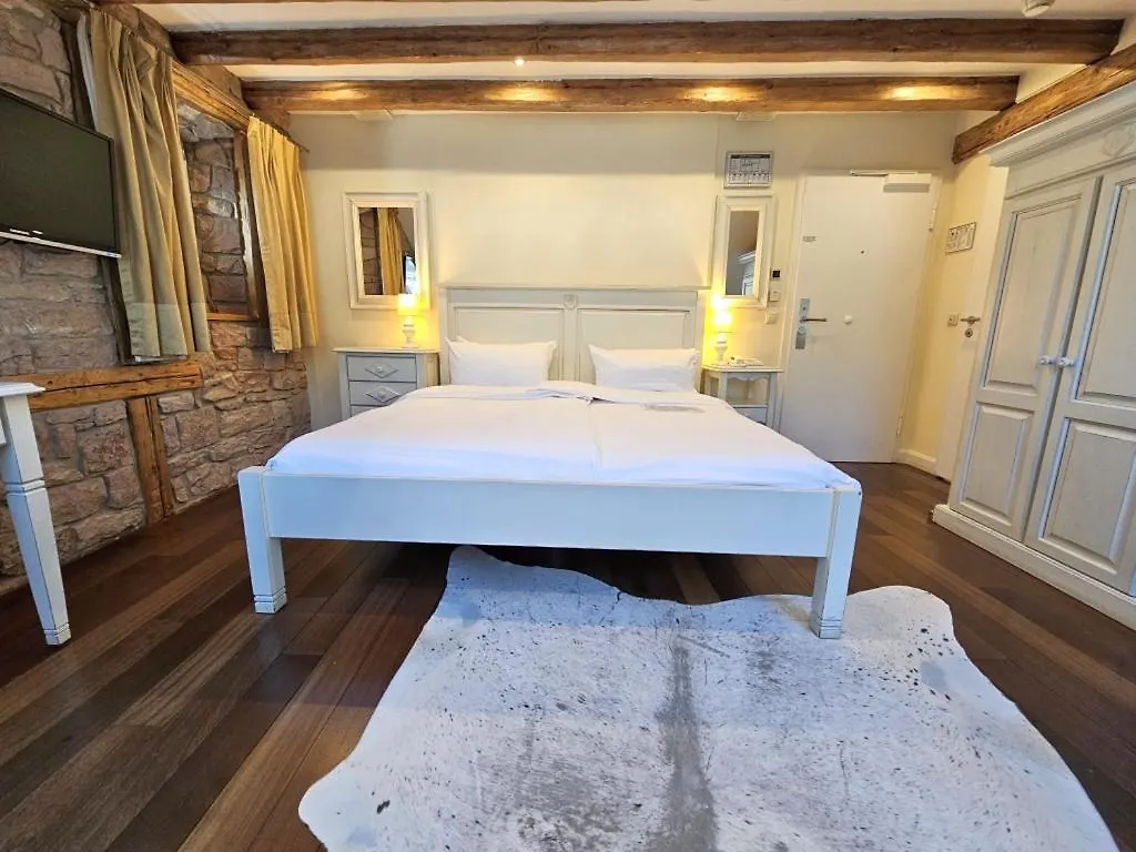 Hotel Villa Marstall Heidelberg